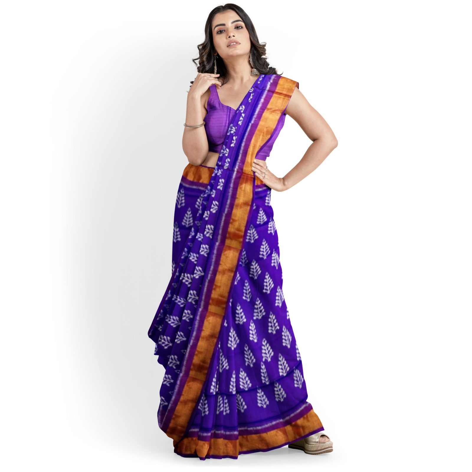 rajkotipatola Traditional Rajkot Tissue Border Blue Purple Fancy Parrot patola saree