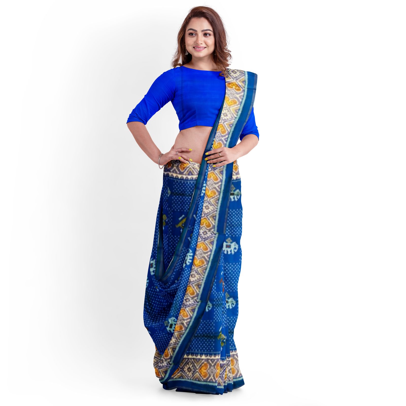 rajkotipatola Traditional Rajkot Tissue Border Blue Elephant Parrot patola saree