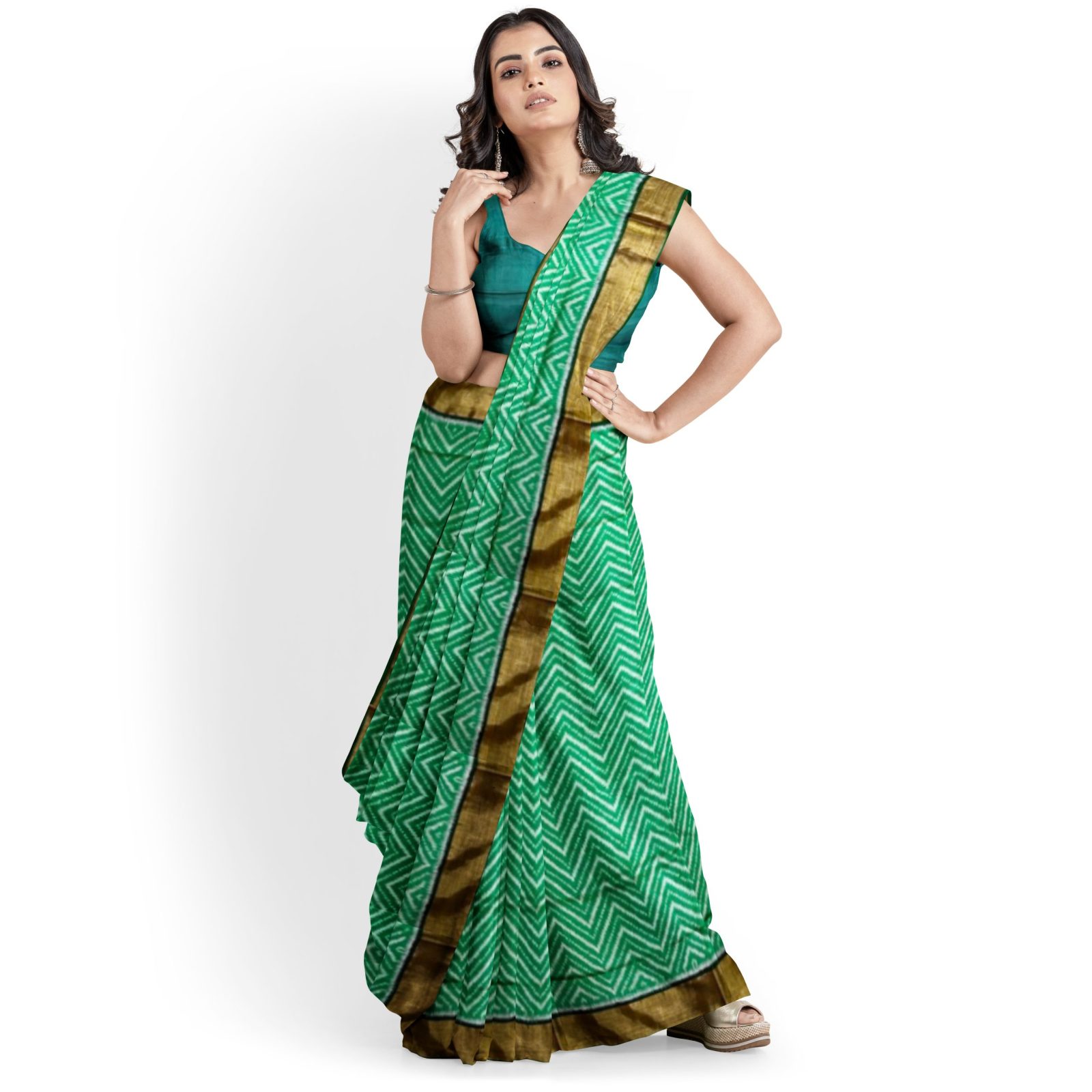 rajkotipatola Traditional Rajkot Tissue Border Green Lehariya Patola saree