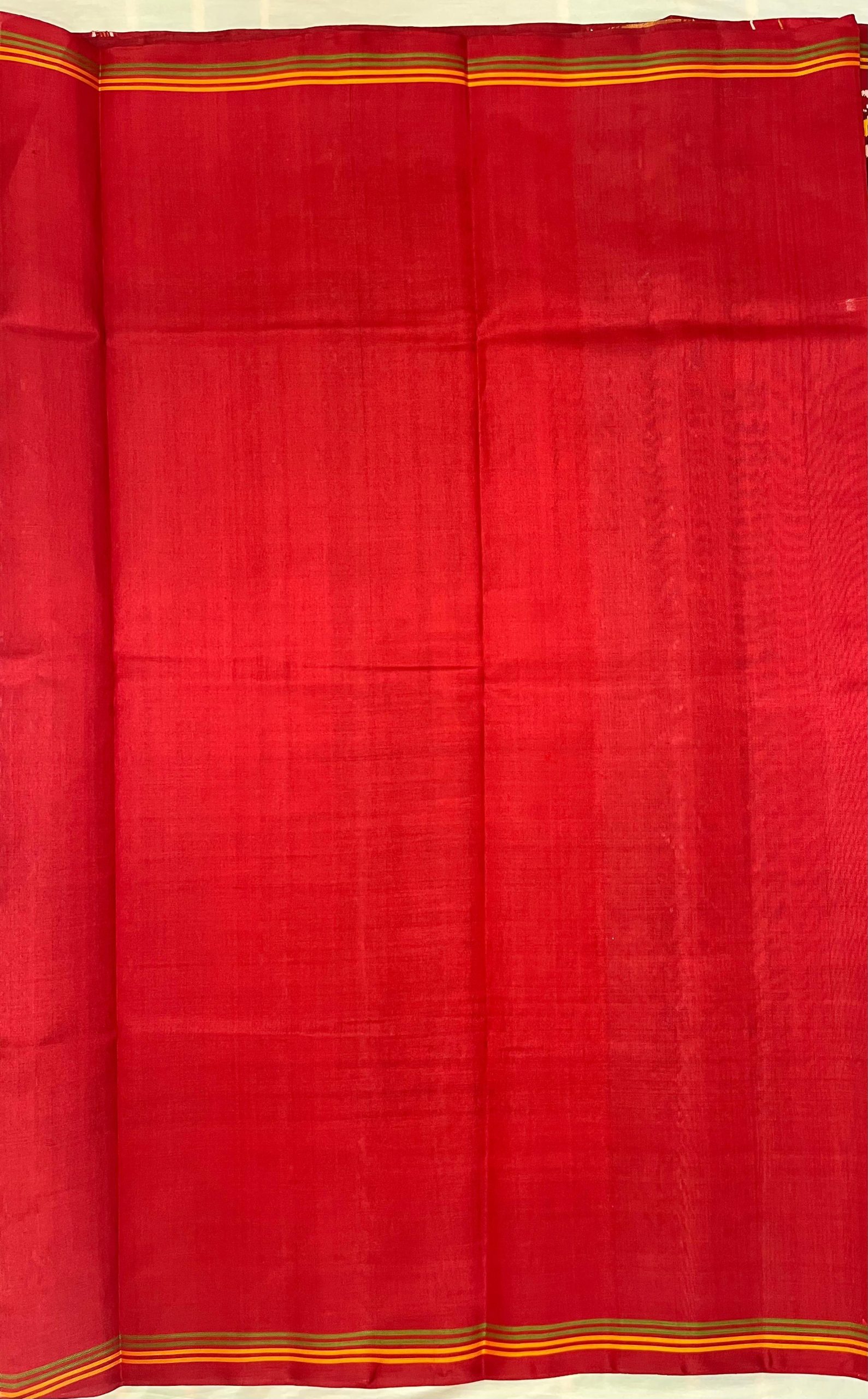 Rajkoti Patola Saree - RPADHAN 554 - Image 5