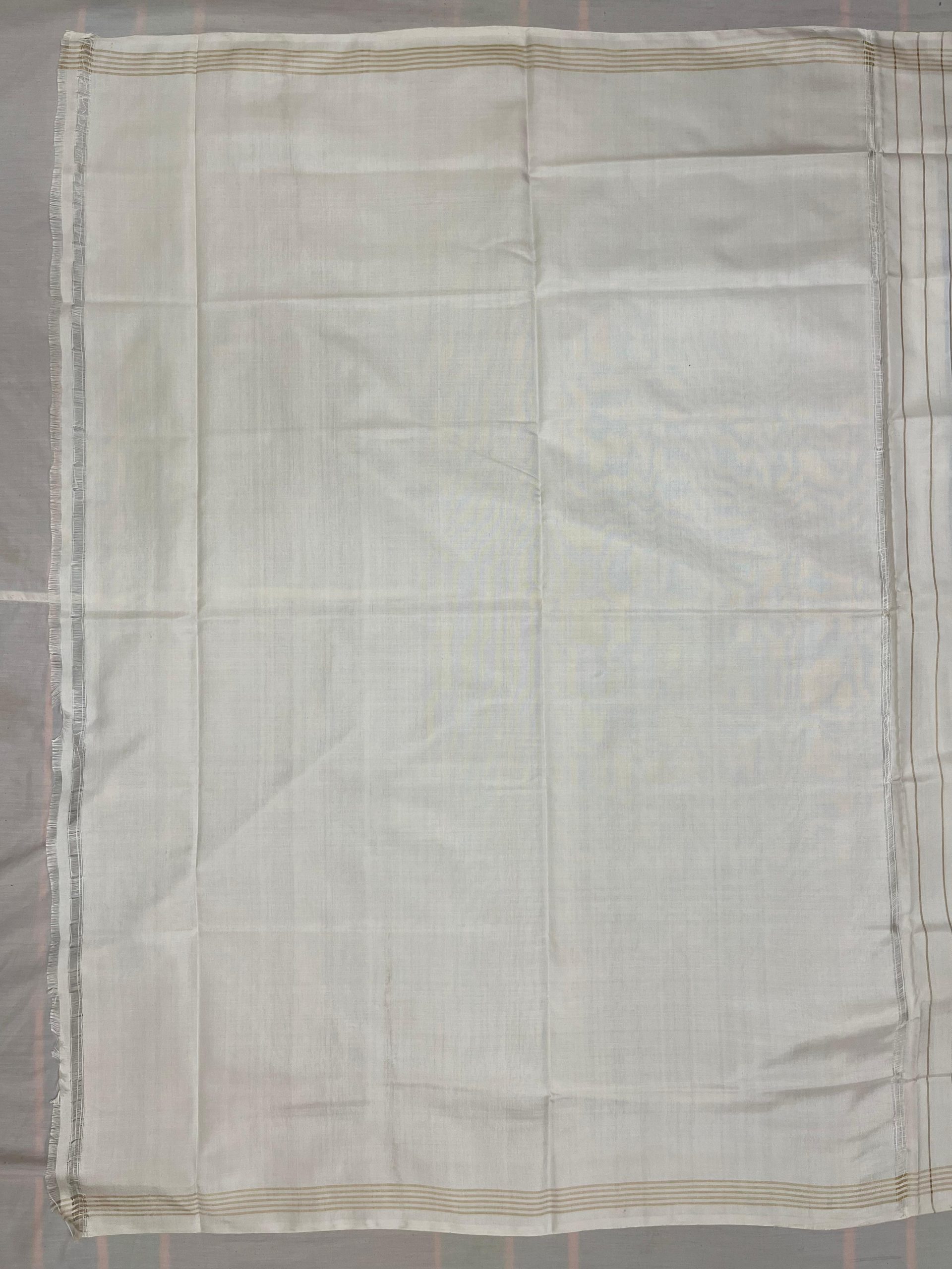 Rajkoti Patola Saree - RPADHAN 559 - Image 6